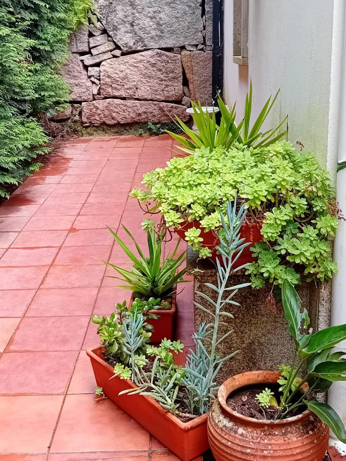 Vivienda Con Jardin Terraza Y Barbacoa Villa Picona Buitenkant foto